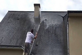 renovation04.png