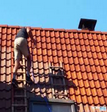 renovation10.png