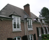 renovation15.png