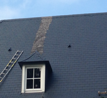 renovation16.png
